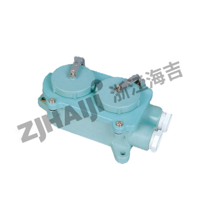 双联防水插座 Z-2M