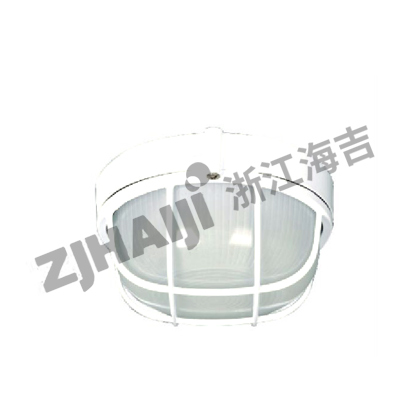 CCD12-2白炽舱顶灯
