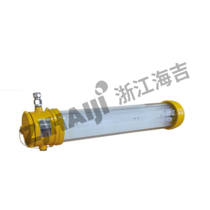 CFY20/30/40 防爆荧光灯