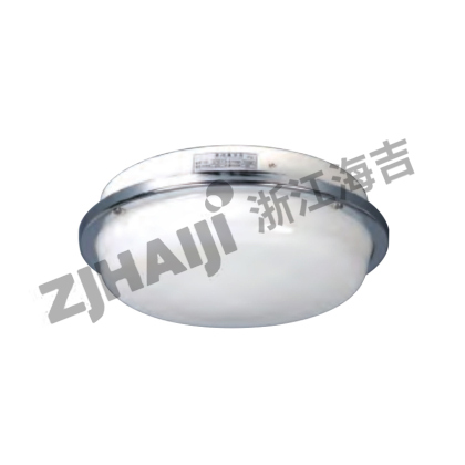 CPD2-1蓬顶灯