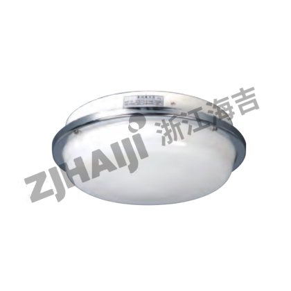 CPD30-1L蓬顶灯