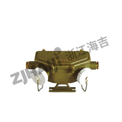 CZH2-2船用双联铜质插座