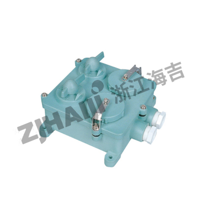 防水带开关双联插座箱 CZXS