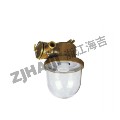 CCD11-A白炽舱顶灯