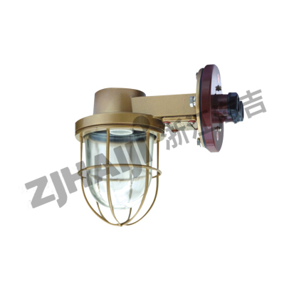 CCD9-6/CCD9-6A 舱顶灯