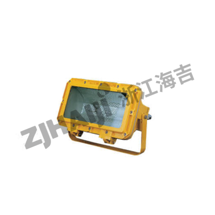 CFT2 防爆投光灯