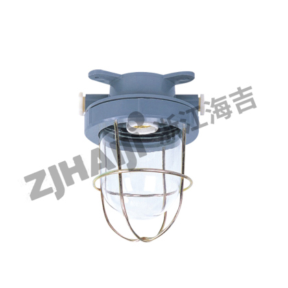 CCD1A-2全塑舱顶灯