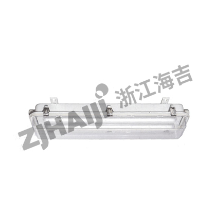 JCY21/JCY41荧光舱顶灯