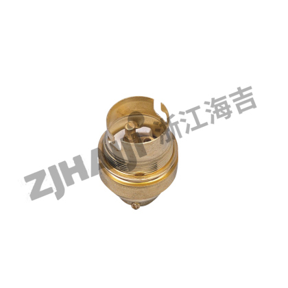 DT206铜制插口式灯座