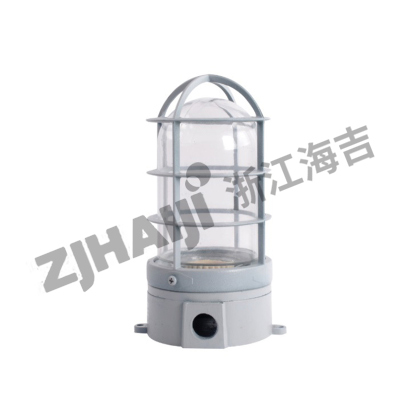CCD16冷库灯