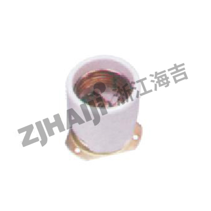 DT210防震螺口式瓷灯座