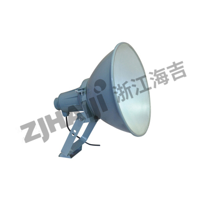 TG65-C 投光灯