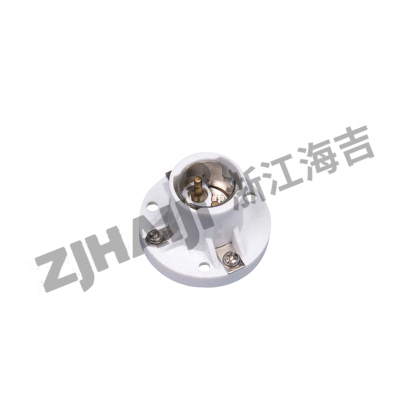 DT201双丝插口式灯座