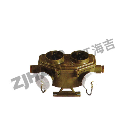 CZKH2-2船用双联铜质带开关插座
