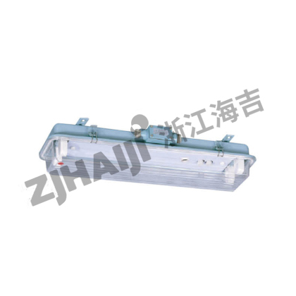 JCY26 LED荧光舱顶灯