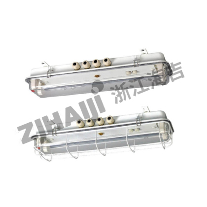 JCY24/44 LED荧光舱顶灯