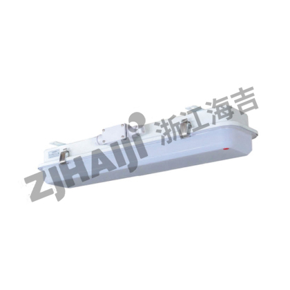 JCY23-2L 荧光舱顶灯